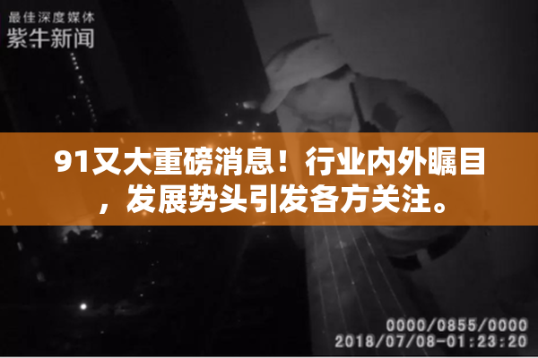 91又大重磅消息！行业内外瞩目，发展势头引发各方关注。