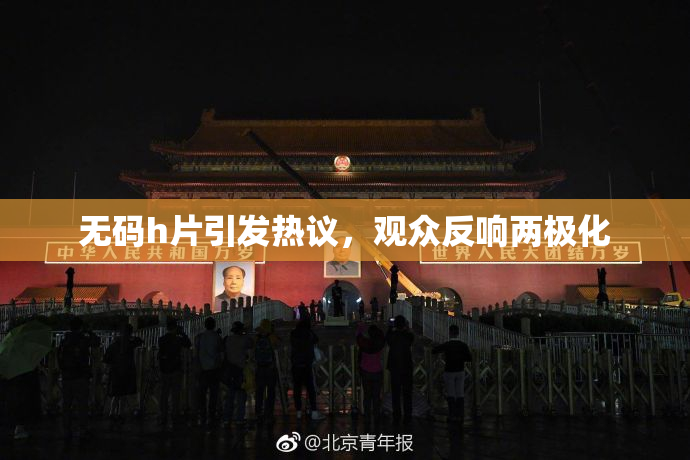 无码h片引发热议，观众反响两极化