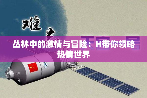 丛林中的激情与冒险：H带你领略热情世界