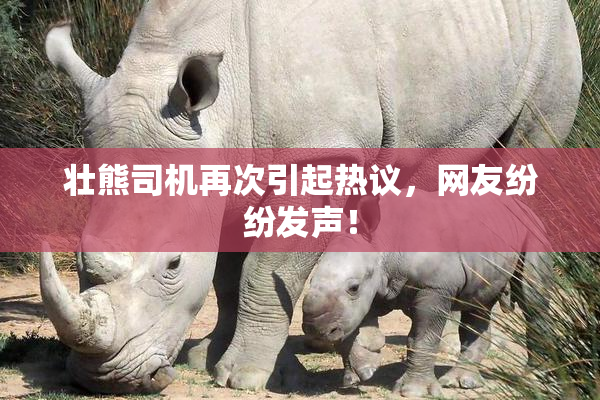 壮熊司机再次引起热议，网友纷纷发声！
