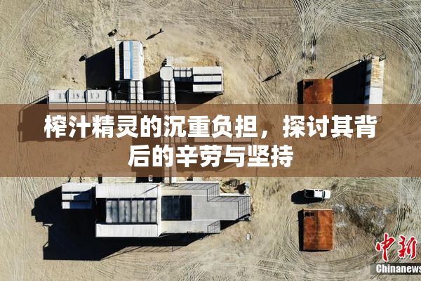 榨汁精灵的沉重负担，探讨其背后的辛劳与坚持