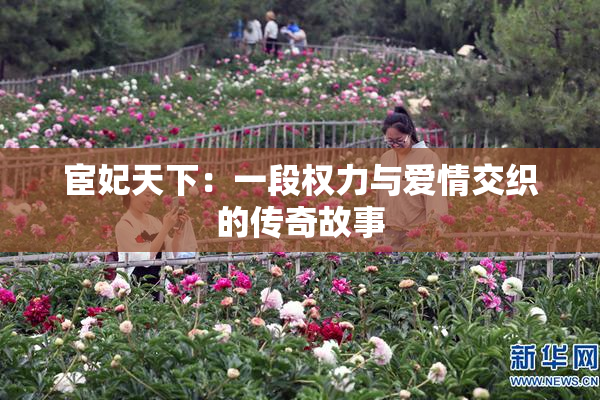 宦妃天下：一段权力与爱情交织的传奇故事