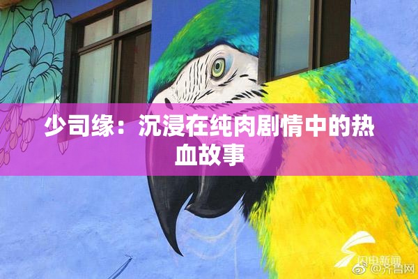 少司缘：沉浸在纯肉剧情中的热血故事