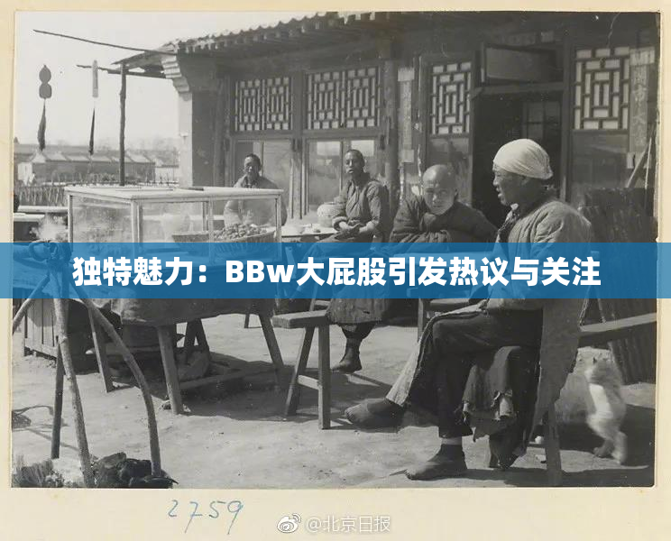 独特魅力：BBw大屁股引发热议与关注