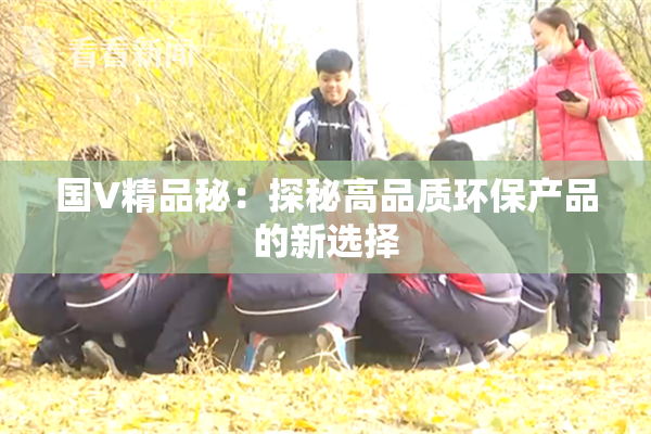 国V精品秘：探秘高品质环保产品的新选择