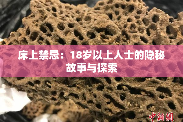 床上禁忌：18岁以上人士的隐秘故事与探索