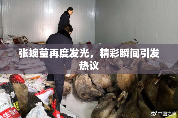 张婉莹再度发光，精彩瞬间引发热议