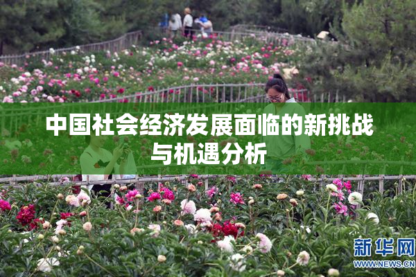 中国社会经济发展面临的新挑战与机遇分析