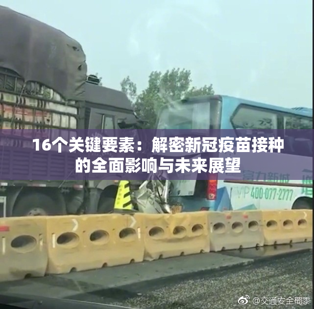 16个关键要素：解密新冠疫苗接种的全面影响与未来展望