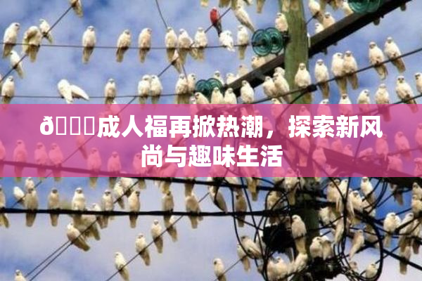 🔞成人福再掀热潮，探索新风尚与趣味生活