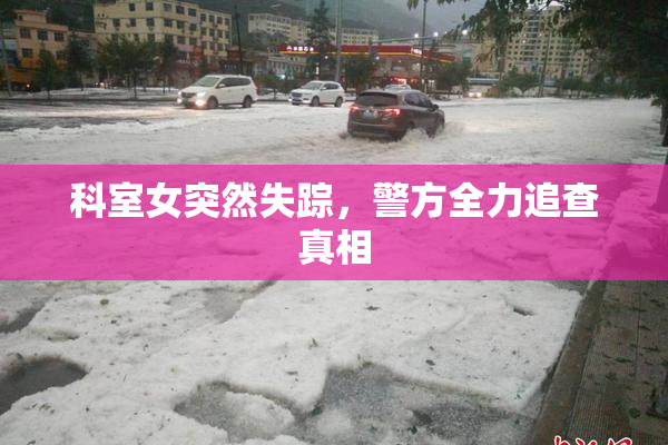 科室女突然失踪，警方全力追查真相