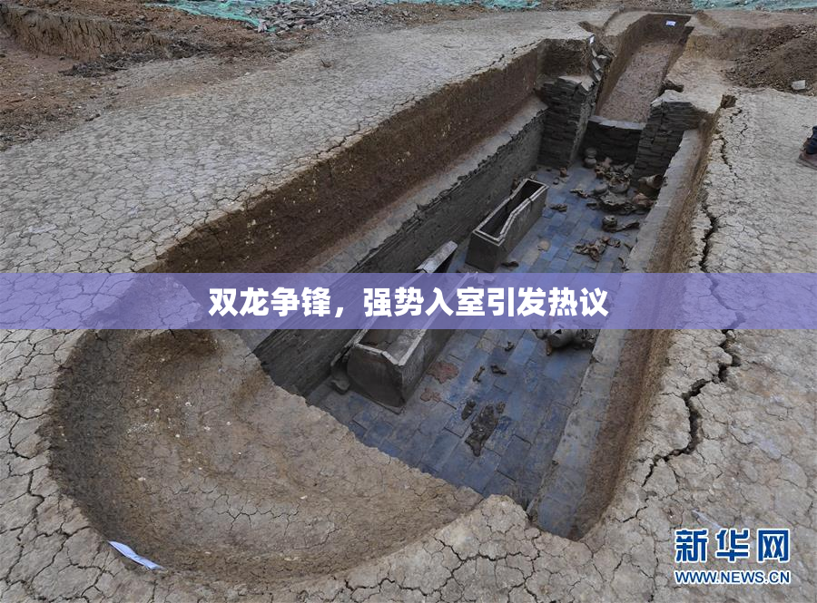 双龙争锋，强势入室引发热议