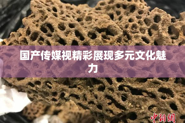 国产传媒视精彩展现多元文化魅力