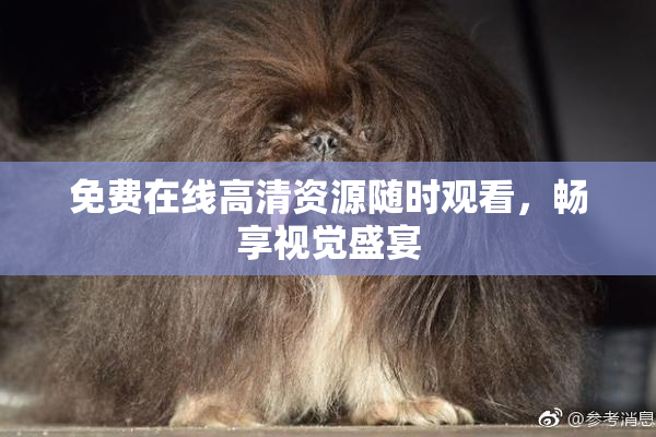 免费在线高清资源随时观看，畅享视觉盛宴