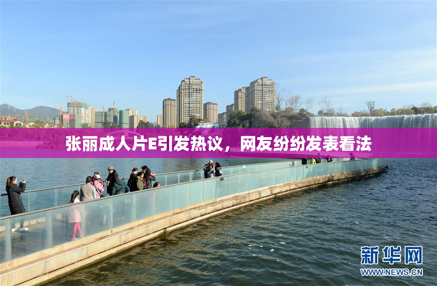 张丽成人片E引发热议，网友纷纷发表看法