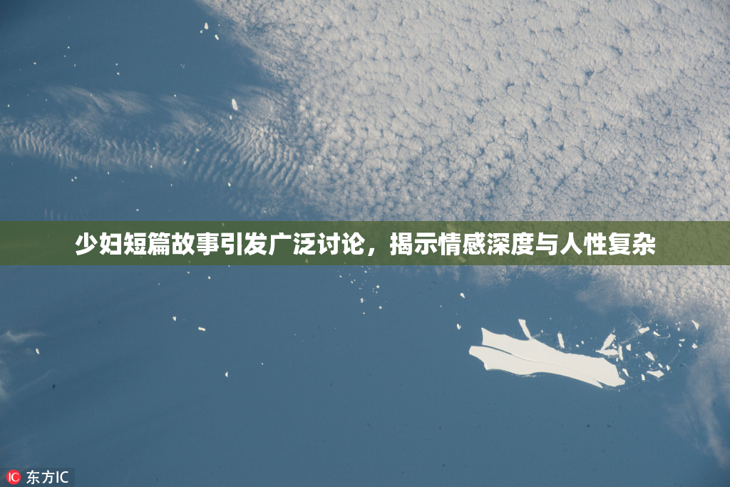 少妇短篇故事引发广泛讨论，揭示情感深度与人性复杂