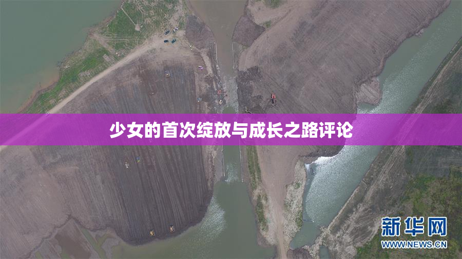 少女的首次绽放与成长之路评论
