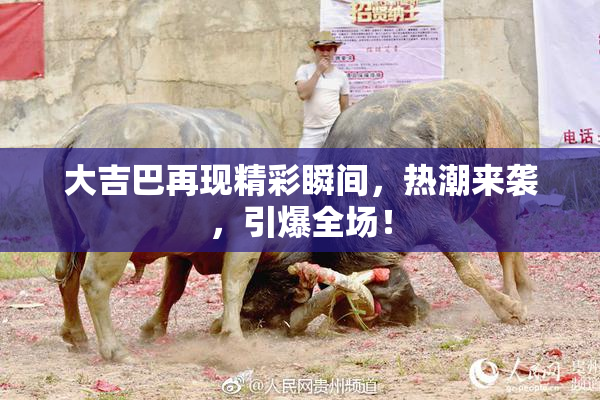 大吉巴再现精彩瞬间，热潮来袭，引爆全场！