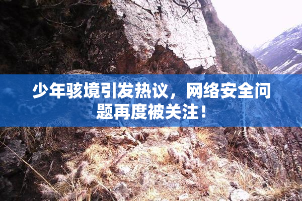 少年骇境引发热议，网络安全问题再度被关注！