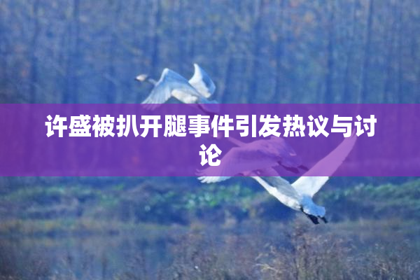 许盛被扒开腿事件引发热议与讨论