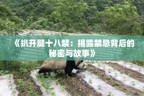《扒开腿十八禁：揭露禁忌背后的秘密与故事》