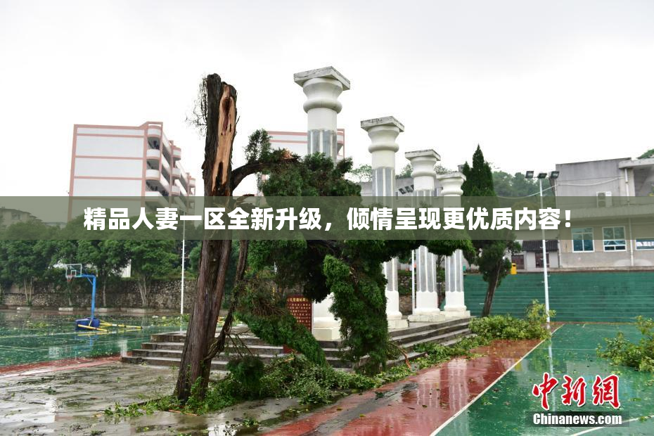 精品人妻一区全新升级，倾情呈现更优质内容！