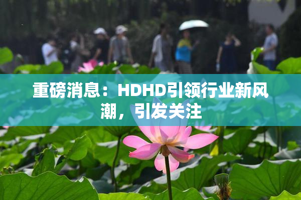 重磅消息：HDHD引领行业新风潮，引发关注