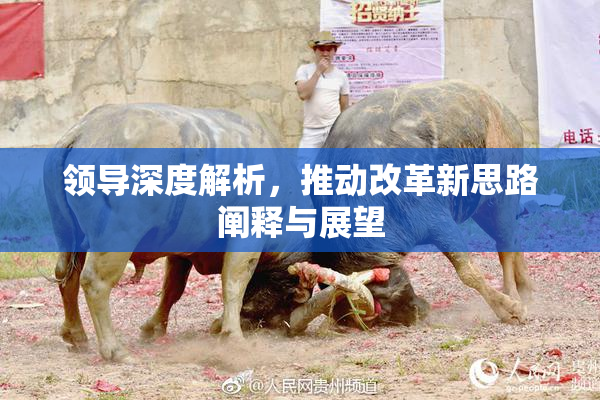 领导深度解析，推动改革新思路阐释与展望