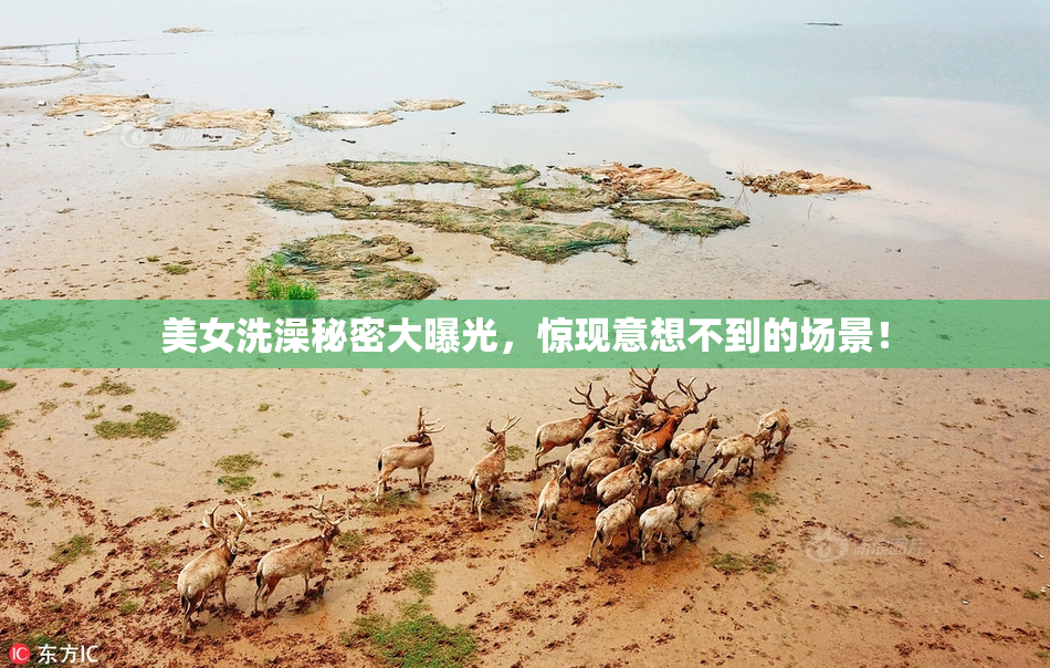美女洗澡秘密大曝光，惊现意想不到的场景！
