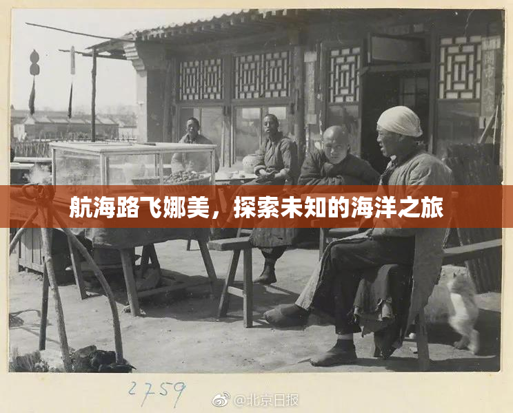 航海路飞娜美，探索未知的海洋之旅