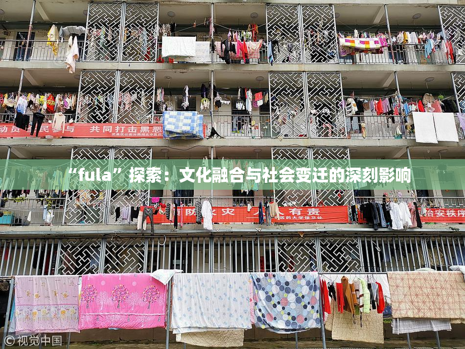 “fula”探索：文化融合与社会变迁的深刻影响