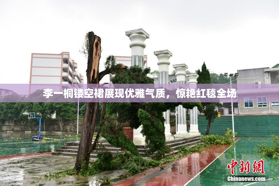 李一桐镂空裙展现优雅气质，惊艳红毯全场