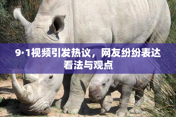 9·1视频引发热议，网友纷纷表达看法与观点