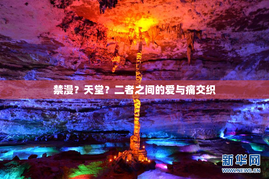 禁漫？天堂？二者之间的爱与痛交织