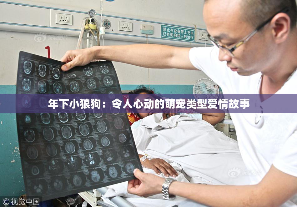 年下小狼狗：令人心动的萌宠类型爱情故事