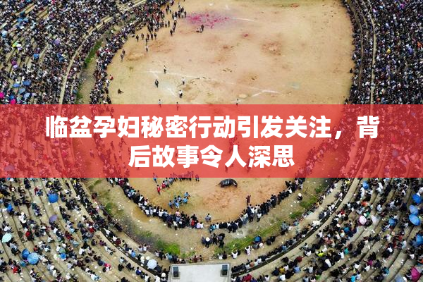 临盆孕妇秘密行动引发关注，背后故事令人深思