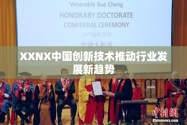 XXNX中国创新技术推动行业发展新趋势