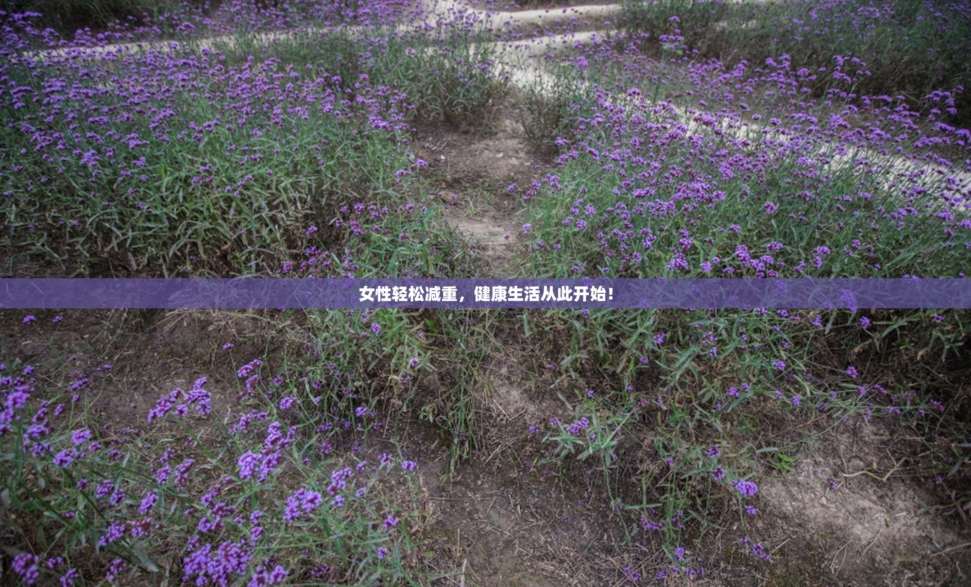 女性轻松减重，健康生活从此开始！