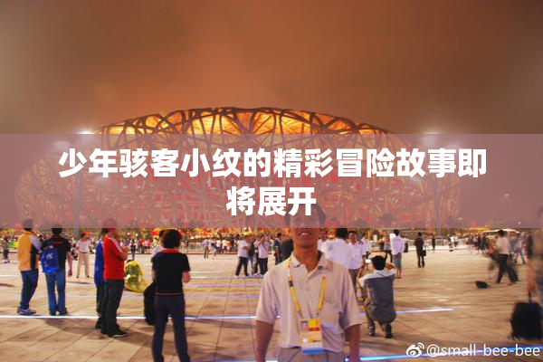 少年骇客小纹的精彩冒险故事即将展开