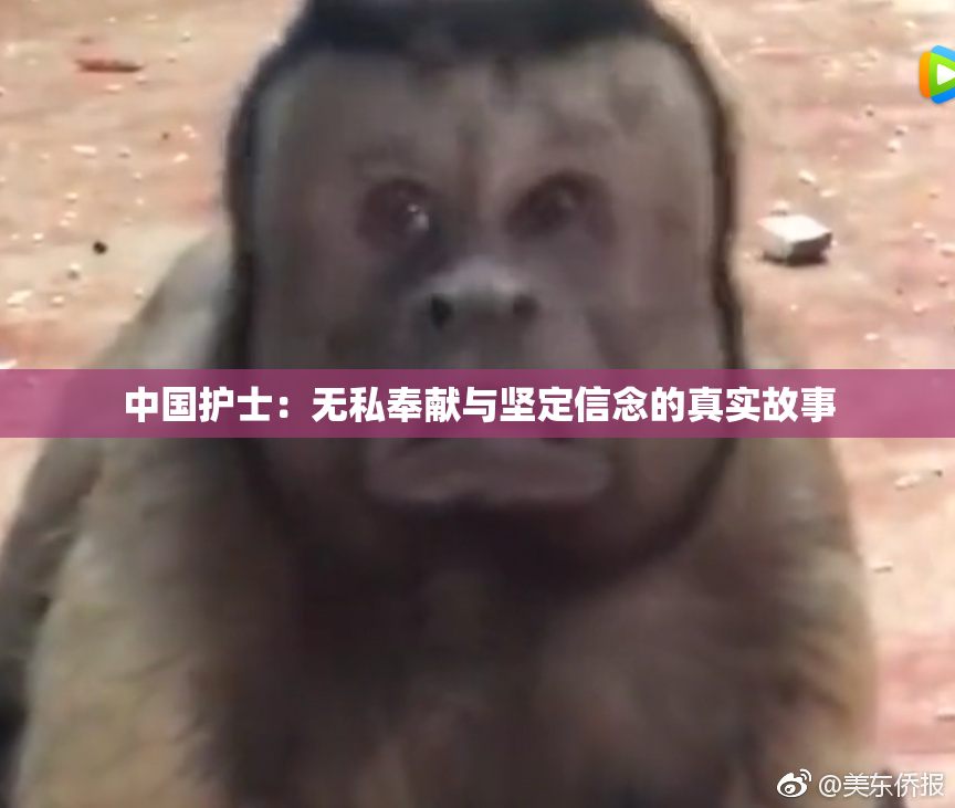 中国护士：无私奉献与坚定信念的真实故事