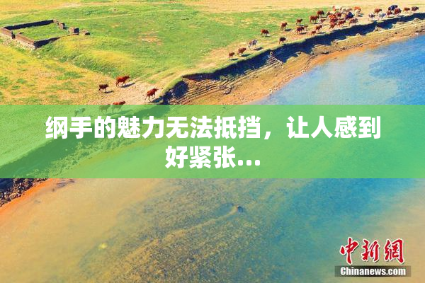 纲手的魅力无法抵挡，让人感到好紧张…