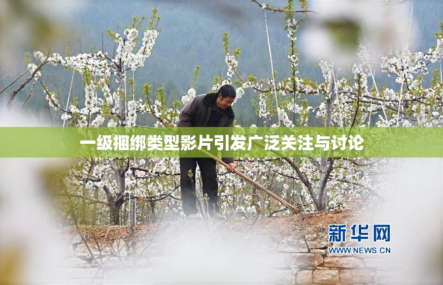 一级捆绑类型影片引发广泛关注与讨论