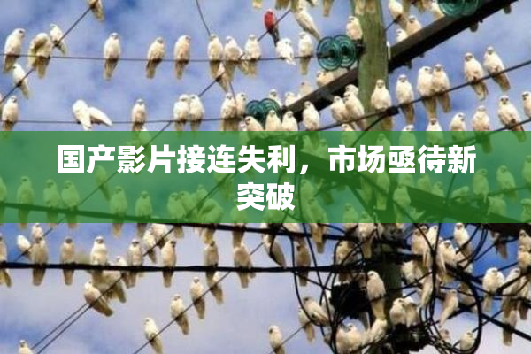 国产影片接连失利，市场亟待新突破