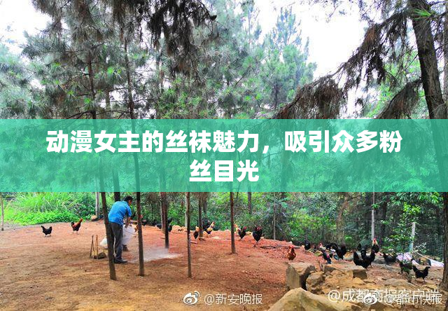 动漫女主的丝袜魅力，吸引众多粉丝目光