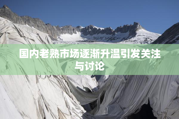 国内老熟市场逐渐升温引发关注与讨论