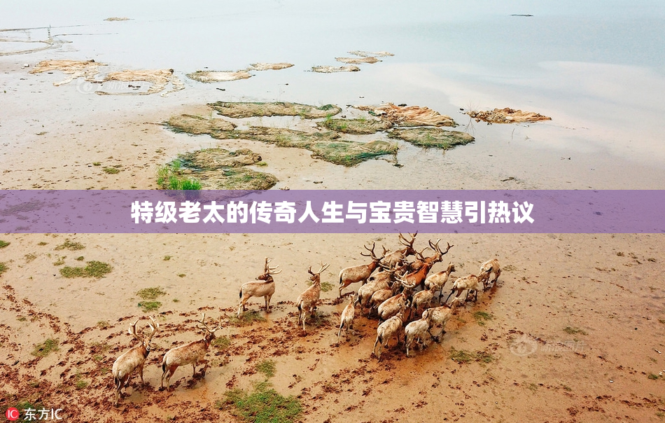 特级老太的传奇人生与宝贵智慧引热议
