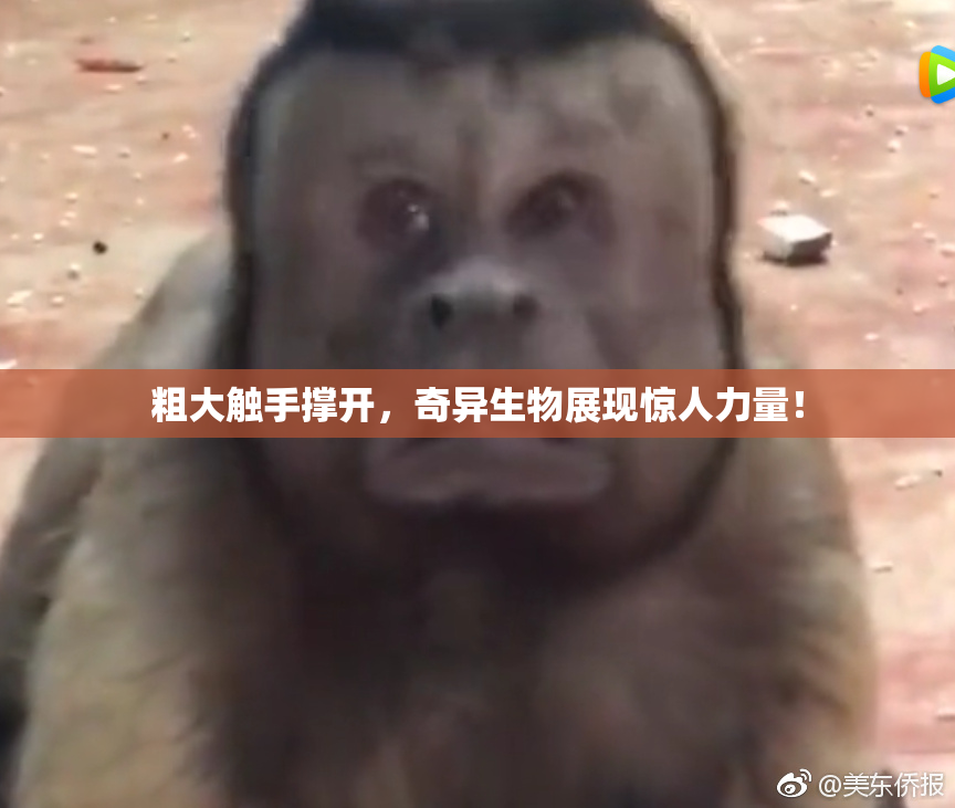粗大触手撑开，奇异生物展现惊人力量！