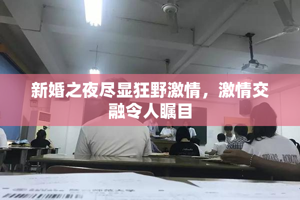 新婚之夜尽显狂野激情，激情交融令人瞩目