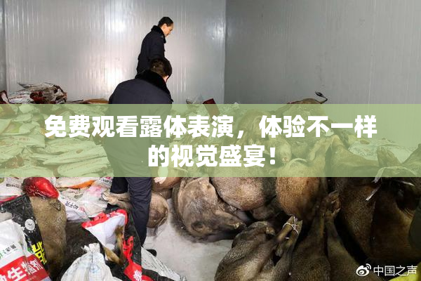 免费观看露体表演，体验不一样的视觉盛宴！