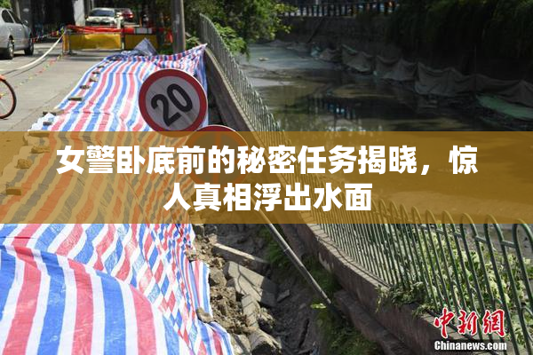 女警卧底前的秘密任务揭晓，惊人真相浮出水面